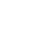 Center for Analytics Impact Wake Forest University Logo